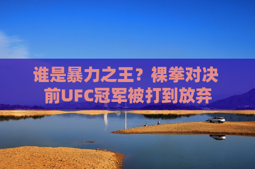 谁是暴力之王？裸拳对决 前UFC冠军被打到放弃